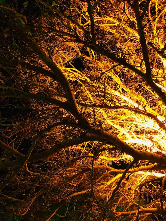 Golden branches