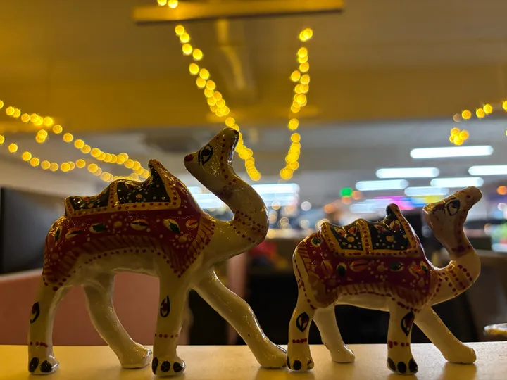 Painted camels