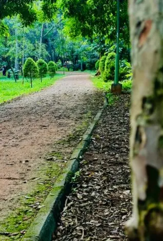 A path through the park