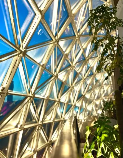 Under the glass dome