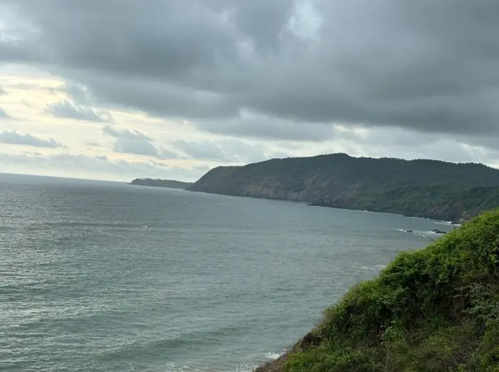 The coast from the cliffs